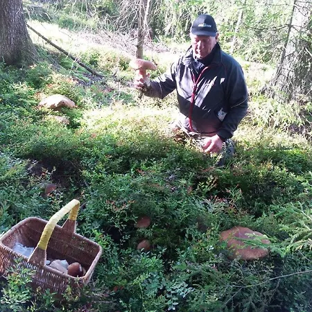 Lomahyppaeys Naantali