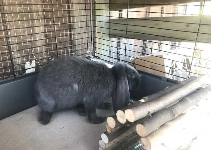 Lomahyppaeys Chalé Naantali