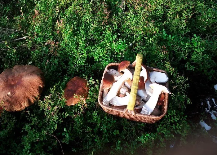 Lomahyppaeys Naantali