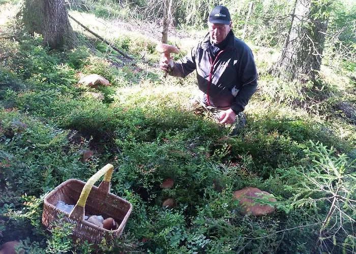 Lomahyppaeys 난탈리