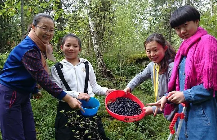 Chalé Lomahyppaeys *